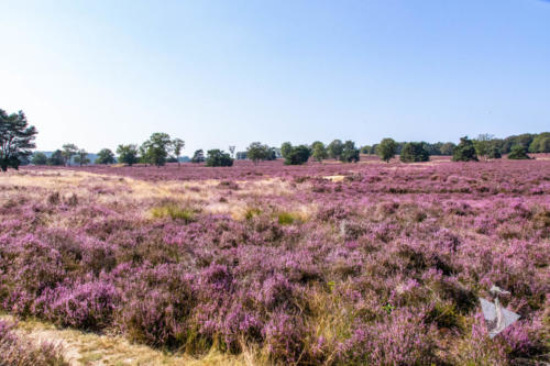 Heide Radio Kootwijk