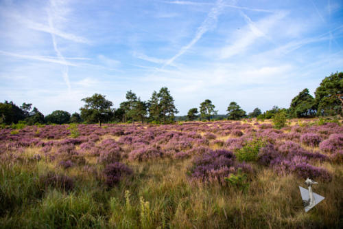 Heide Radio Kootwijk