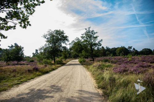 Heide Radio Kootwijk