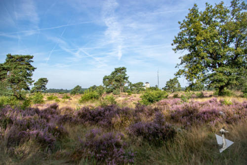 Heide Radio Kootwijk