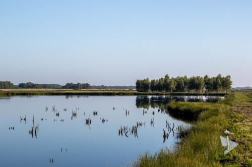 Vogelkijkscherm de Doorbraak