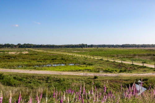 Engbertdijksevenen