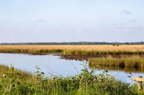 Engbertdijksevenen